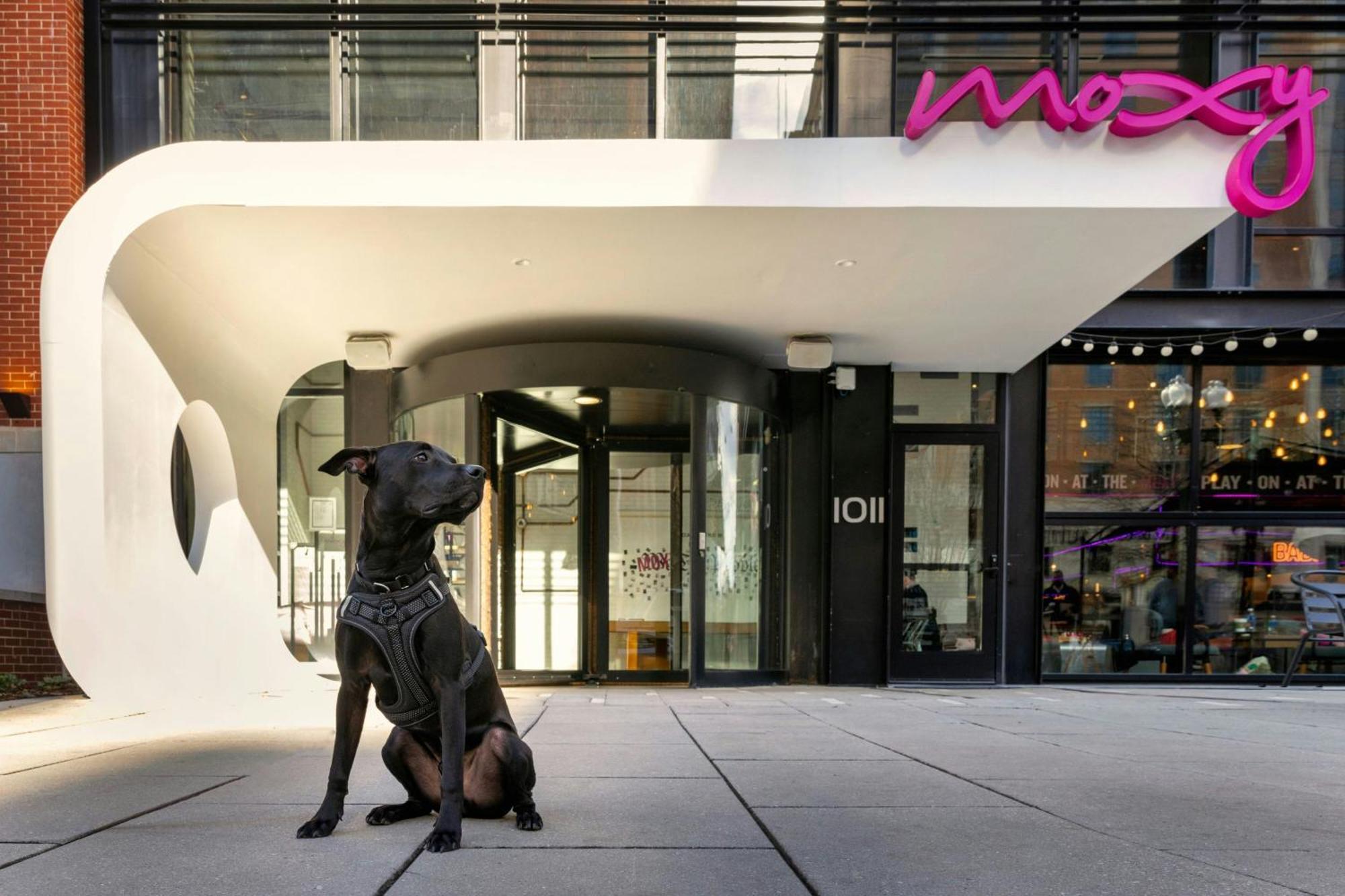 Готель Moxy Washington, Dc Downtown Екстер'єр фото